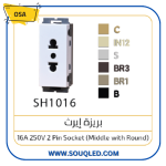 بريزة أمريكي كهرباء مع إيرث من أوسا